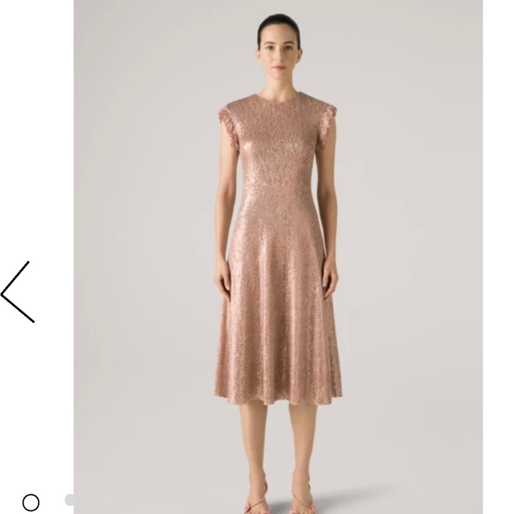 St John’s Sequin Knit Cap Sleeve Fit & Flare Dress W/ Fringe Trim Detail - Lined
